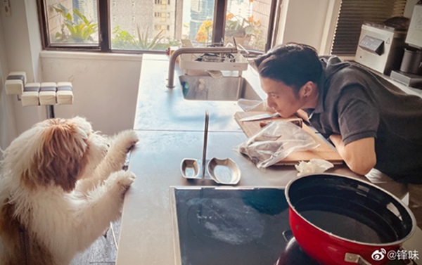 谢霆锋问狗狗中午吃点什么  网友：“感受到狗狗一脸幸福”第2张图片